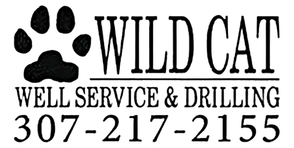 307 WildCat Well Service